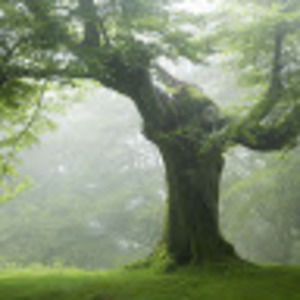 Meet your Posher, Krystle